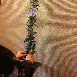 instagramの画像例