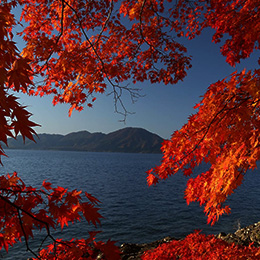 instagramの画像例